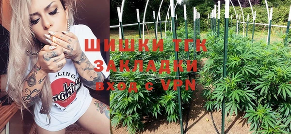 гидропоника Алзамай