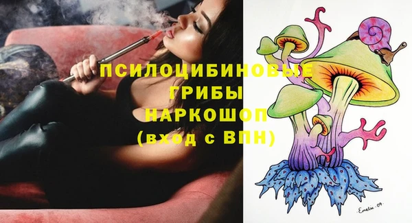 гидропоника Алзамай
