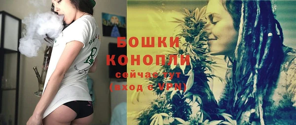 ГАЛЛЮЦИНОГЕННЫЕ ГРИБЫ Абаза
